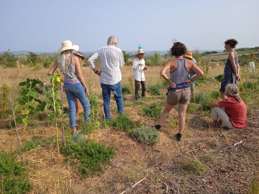 Visite du potager syntropique sur le lieu de l'association Un petit coin de paradigme