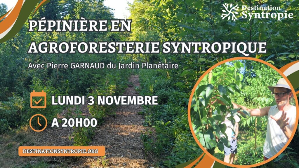 Vignette - Pépinière agroforesterie syntropique
